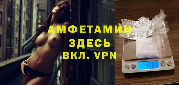 стаф Алексин