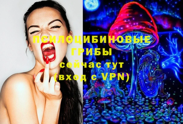 стаф Алексин