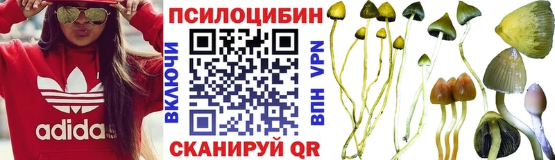 Галлюциногенные грибы прущие грибы  наркотики  blacksprut ссылка  Новомичуринск 
