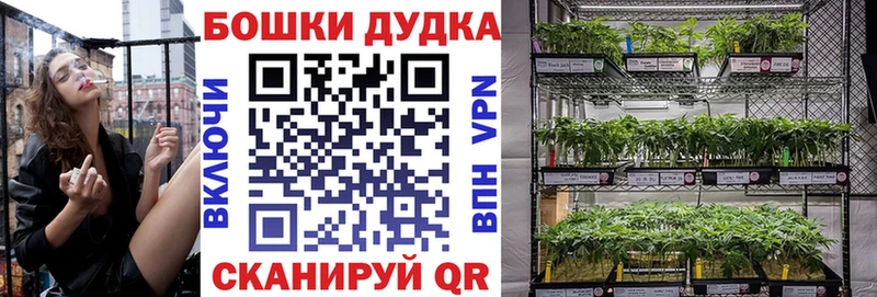 кракен сайт  Новомичуринск  Марихуана индика 